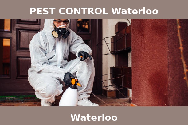 PEST CONTROL Waterloo